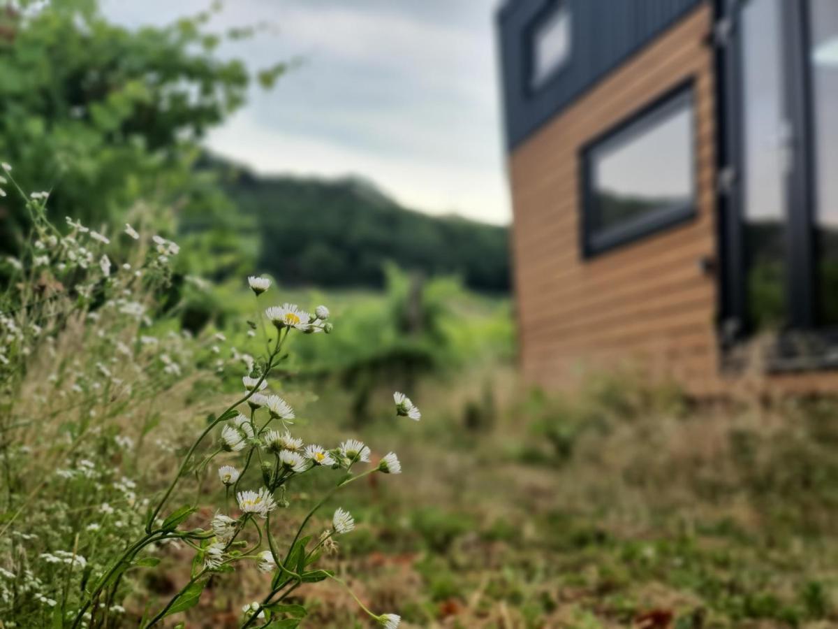 Апартаменти Pop Tiny House Balaton Kaptalantoti Екстер'єр фото